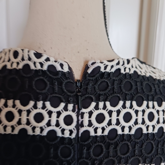 Alexis Amir Striped Crochet Pleated Dress - Picture 9 of 15